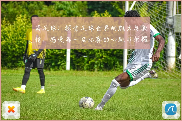 周足球：探索足球世界的魅力与激情，感受每一场比赛的心跳与荣耀