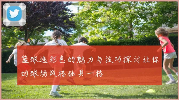 篮球选彩色的魅力与技巧探讨让你的球场风格独具一格